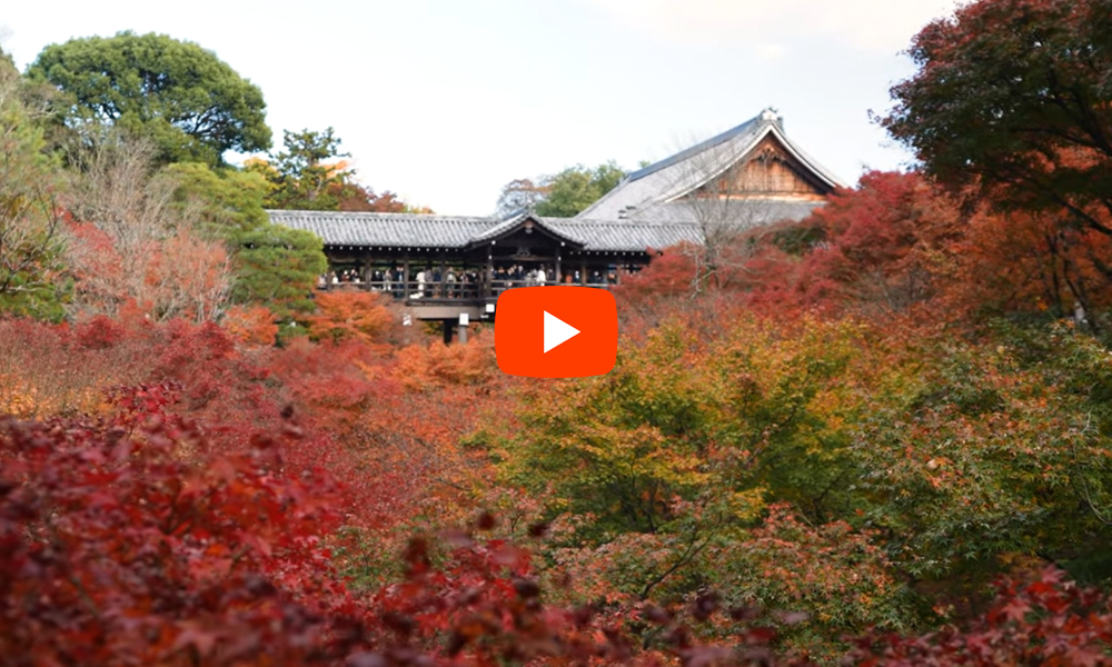 京都 東福寺 紅葉バナー